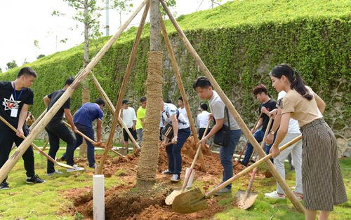 十年樹木，百年樹人——2017屆畢業(yè)生種植紀(jì)念樹活動(dòng)圓滿舉行
