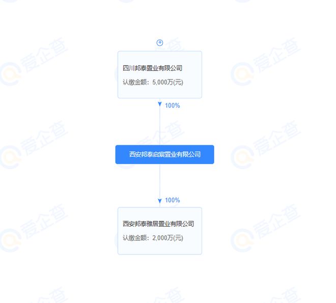 摘地不到30天，邦泰新項目傳來最新消息 樹木種植經營同步啟動