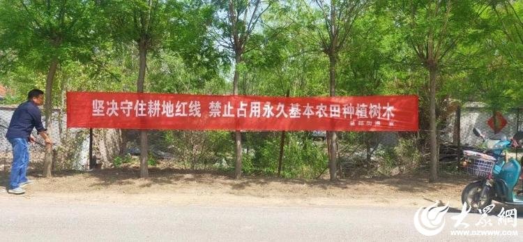 濰坊青州 益都街道“三融合”破解低效苗木難題，筑牢耕地保護防線